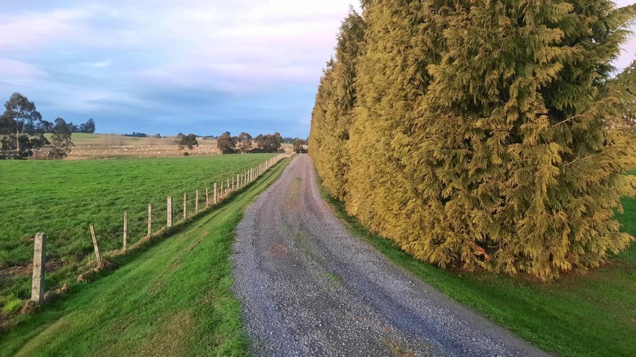 Greenfield Country Homestay Pukeawa Exterior foto