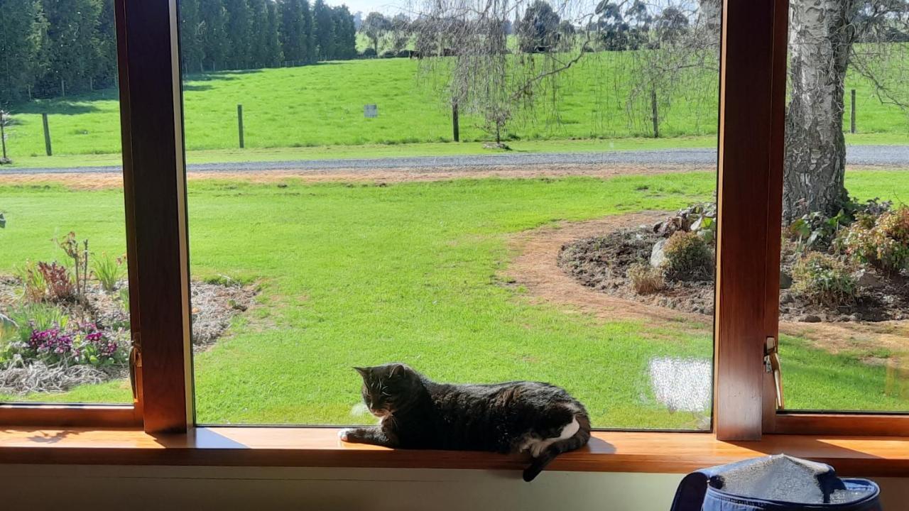 Greenfield Country Homestay Pukeawa Exterior foto